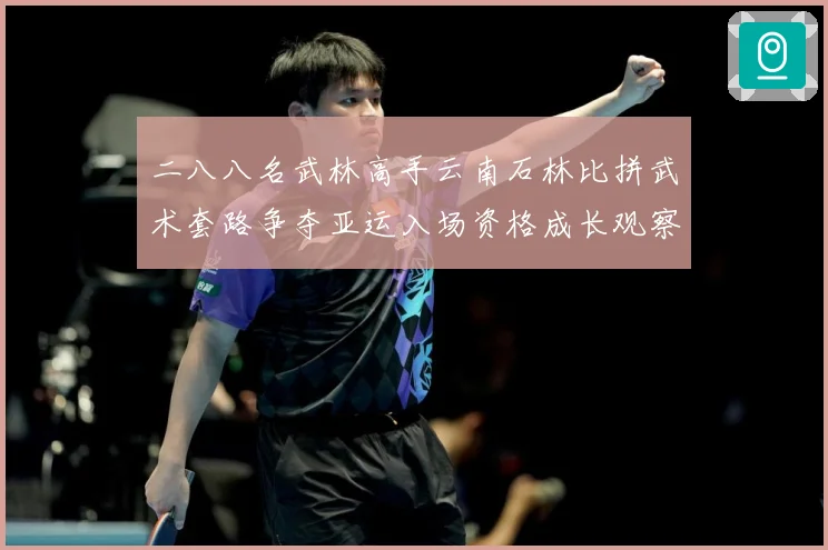 二八八名武林高手云南石林比拼武术套路争夺亚运入场资格成长观察