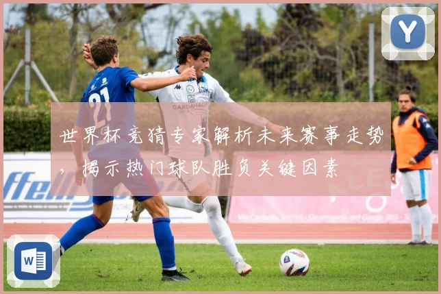 世界杯竞猜专家解析未来赛事走势，揭示热门球队胜负关键因素