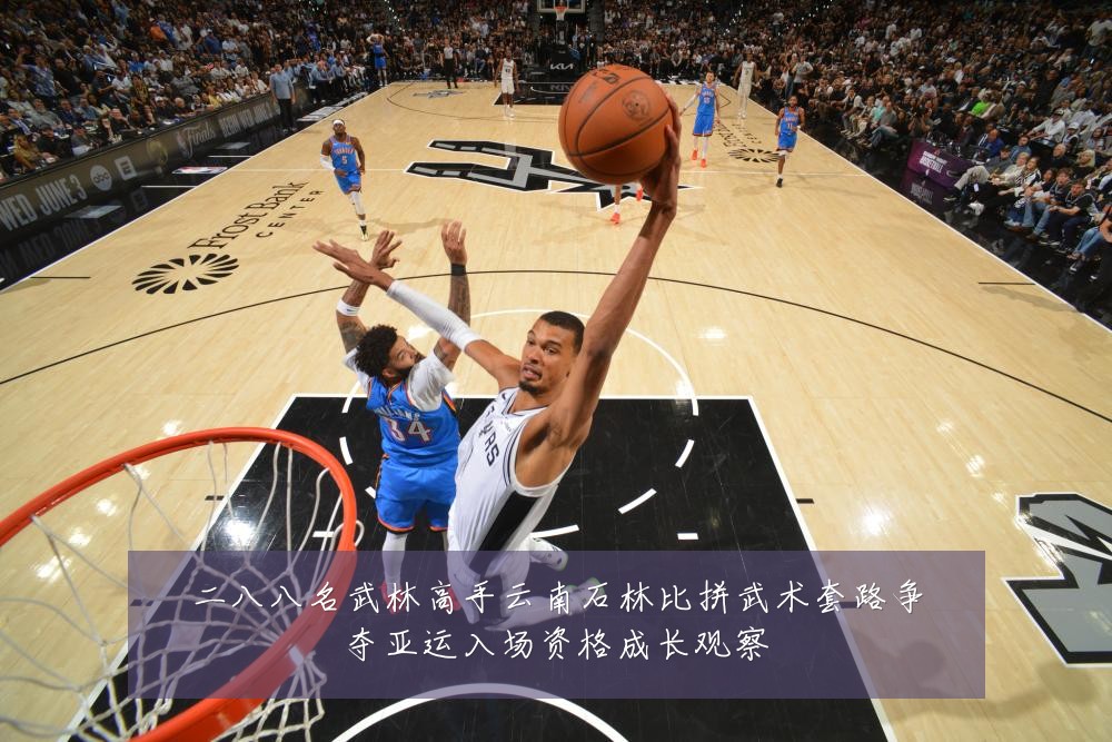 二八八名武林高手云南石林比拼武术套路争夺亚运入场资格成长观察